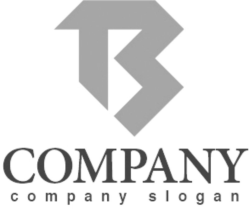 画像6: B・T・アルファベット・ロゴ・マークデザイン5242 (6)