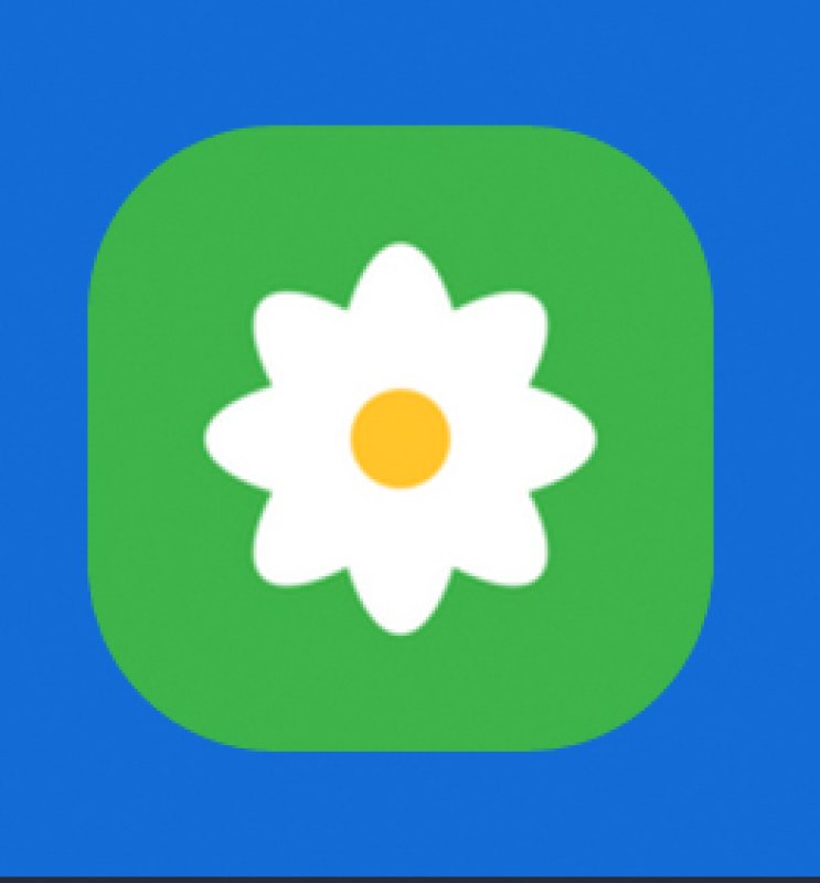 画像2: 花・輪・マーガレット・ロゴ・マークデザイン004 (2)