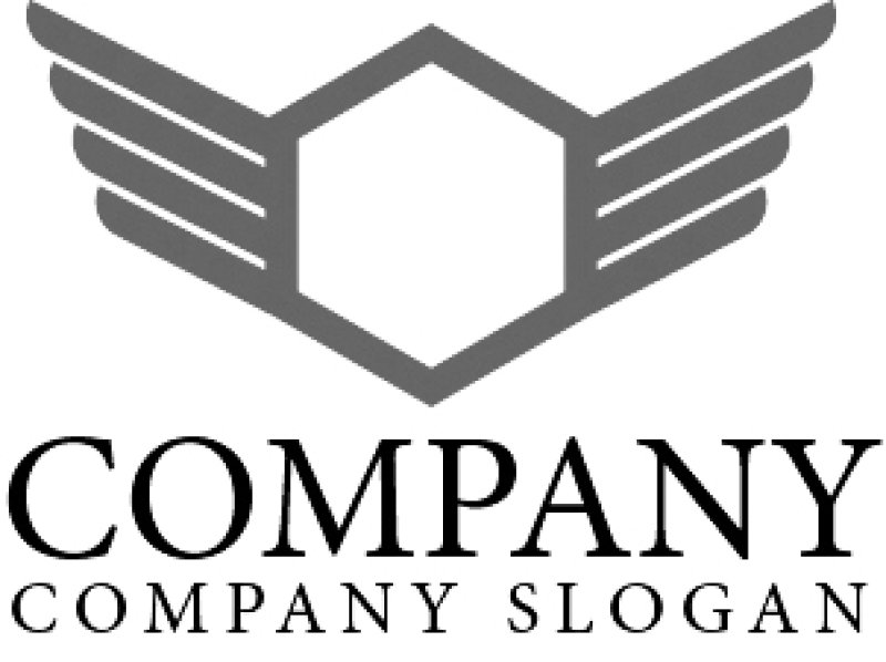 画像4: 箱・翼・ロゴ・マークデザイン216 (4)